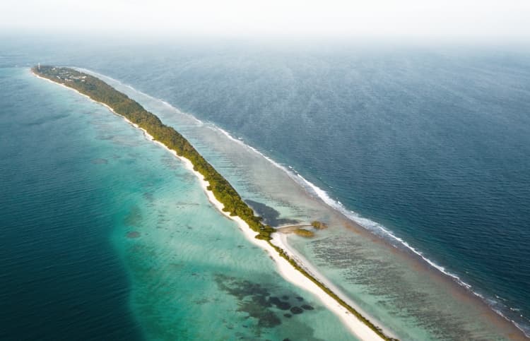 ދިގުރަށު ކުނިގޮނޑުން ފެނުނު ކުއްޖާގެ މަރުގެ ޝަރީއަތް ފަށަނީ