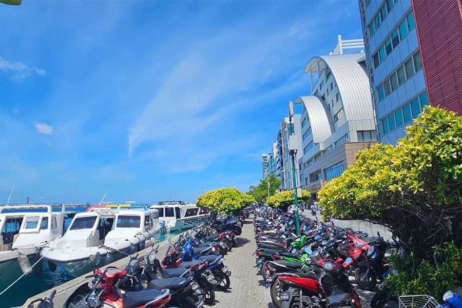 ފުރާނަ ސަލާމަތްކުރުމަށް ގަވާއިދުން ދުއްވަމާ