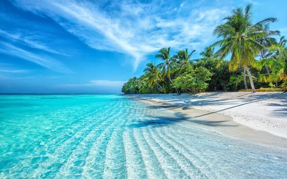 ކޮލަމް ކޫޒު: ދިވެހި ގައުމުގެ ސަލާމަތާއި ދެމިއޮތުމަށް ޓަކައި ...