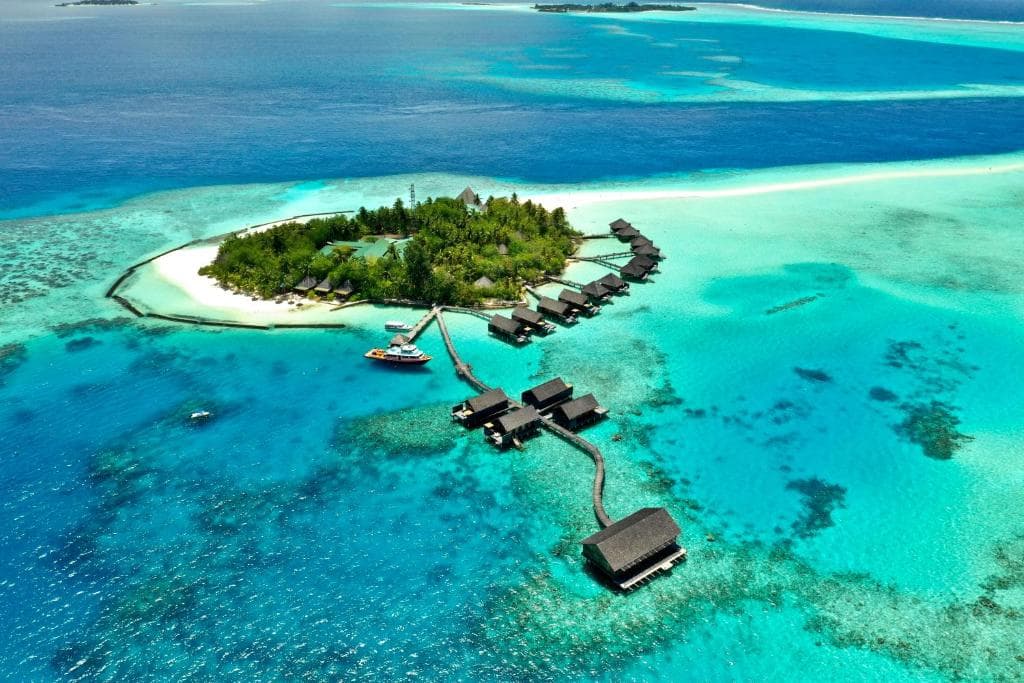 ސްނޯކްލިންއަށް ގޮސް އުޅުނު ޗައިނާގެ ފަތުރުވެރިއެކު މަރުވެއްޖެ
