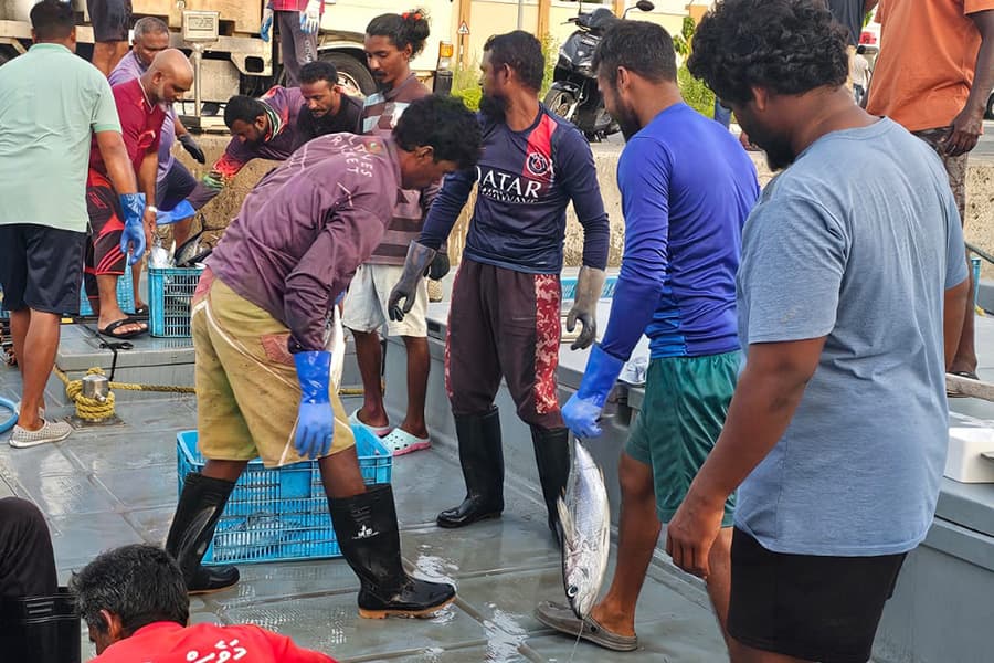 ސާދަ މަސްވެރިއަކަށް ލޯނު ދީފި