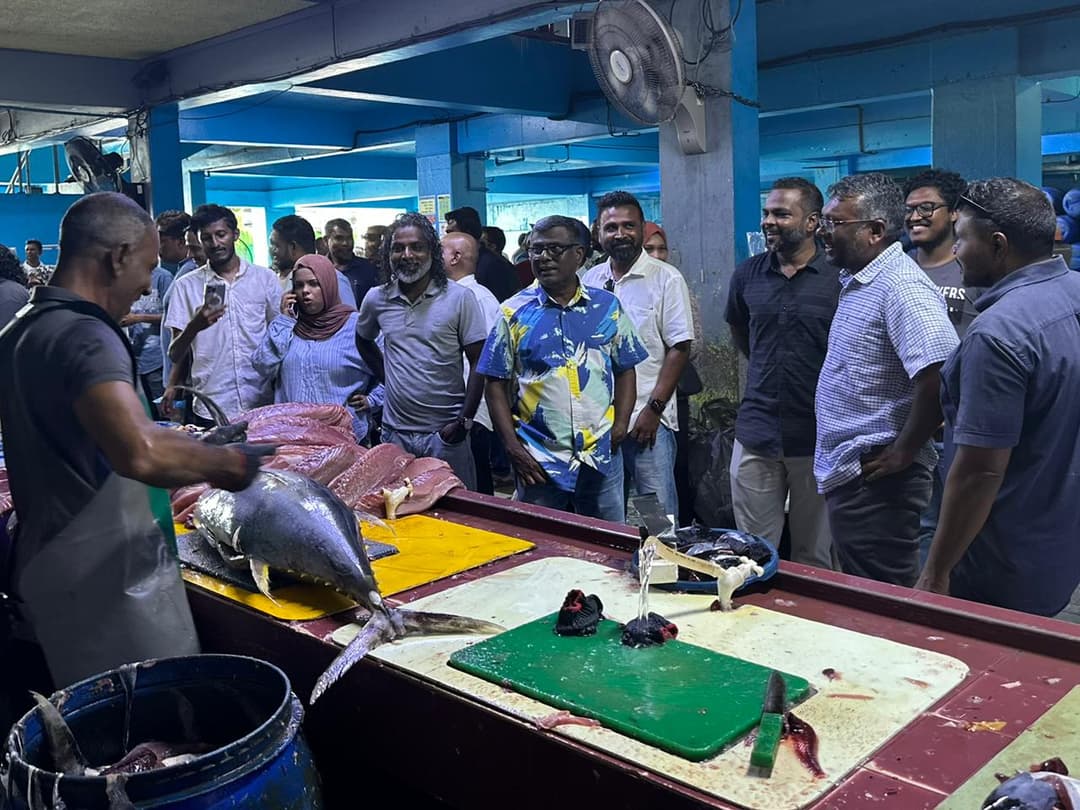 ފައްޔާޒު މަސްވެރީންގެ ހާލަތު އޮޅުން ފިލުވައިފި
