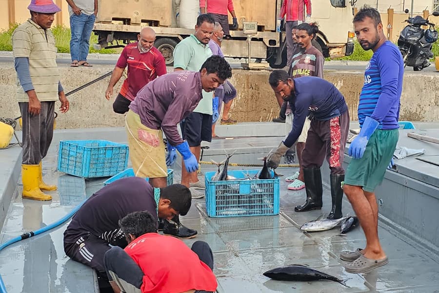 މަސްވެރީންގެ ދުވަސް: ތަހުނިޔާއަށްވުރެ މަސްވެރީންނަށް މުހިންމީ ފައިސާ