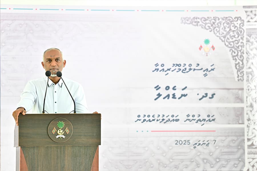 ނަޑެއްލާއަށް އައު ބަނދަރަކާއި ފުލުހުންގެ ޚިދުމަތް