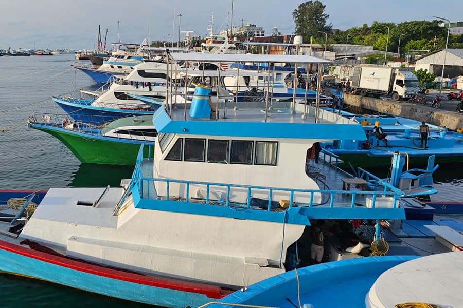 މަސްވެރިކަން ފެށުނުއިރު، ސަރުކާރު ނިދާފައި: ސައުދު