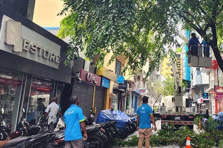ރައްޔިތުންގެ އެދުމުގެ މަތީން ގަސް ކޮށާދޭން ފަށައިފި