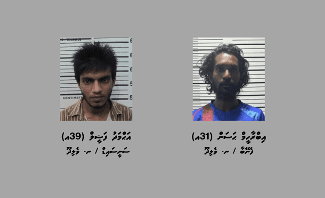 މަސްތުވާ ތަކެއްޗާއެކު ވެލިދޫން ދެ މީހަކު ހައްޔަރުކޮށްފި