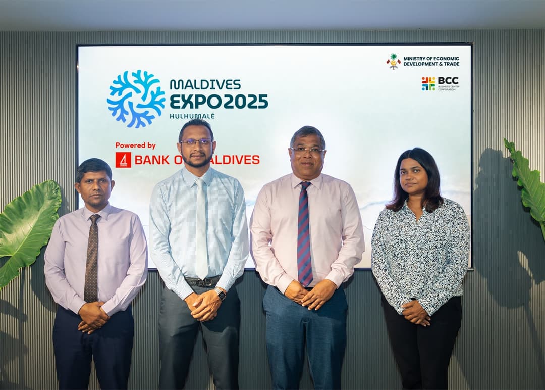 ބީއެމްއެލްގެ ޖަމާއަތުގެ ފައިދާގެ މަސައްކަތުން
