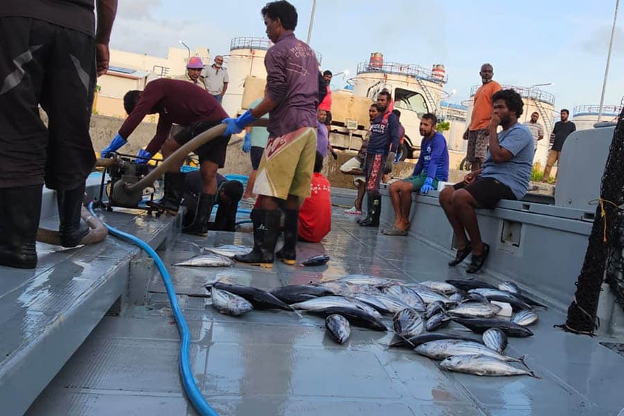 އެފްޓީއޭގެ ވާހަކަ ހިމަނާފައި ނުވާތީ އެމްޑީޕީގެ ކަންބޮޑުވުން