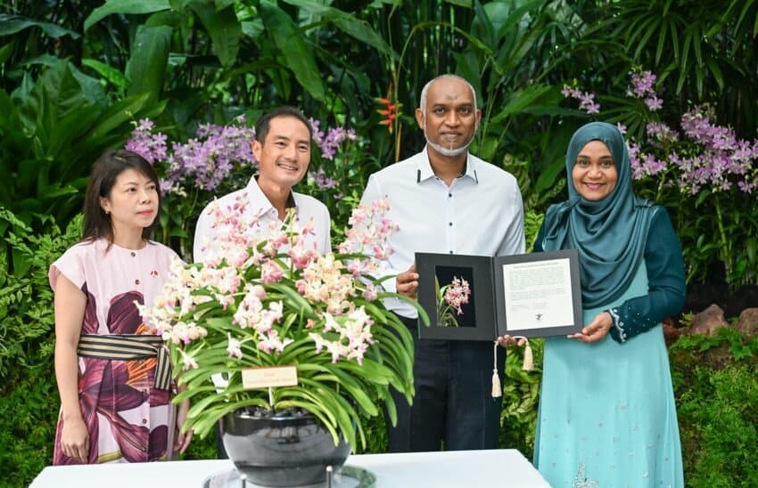 އޯކިޑް މުއިއްޒު