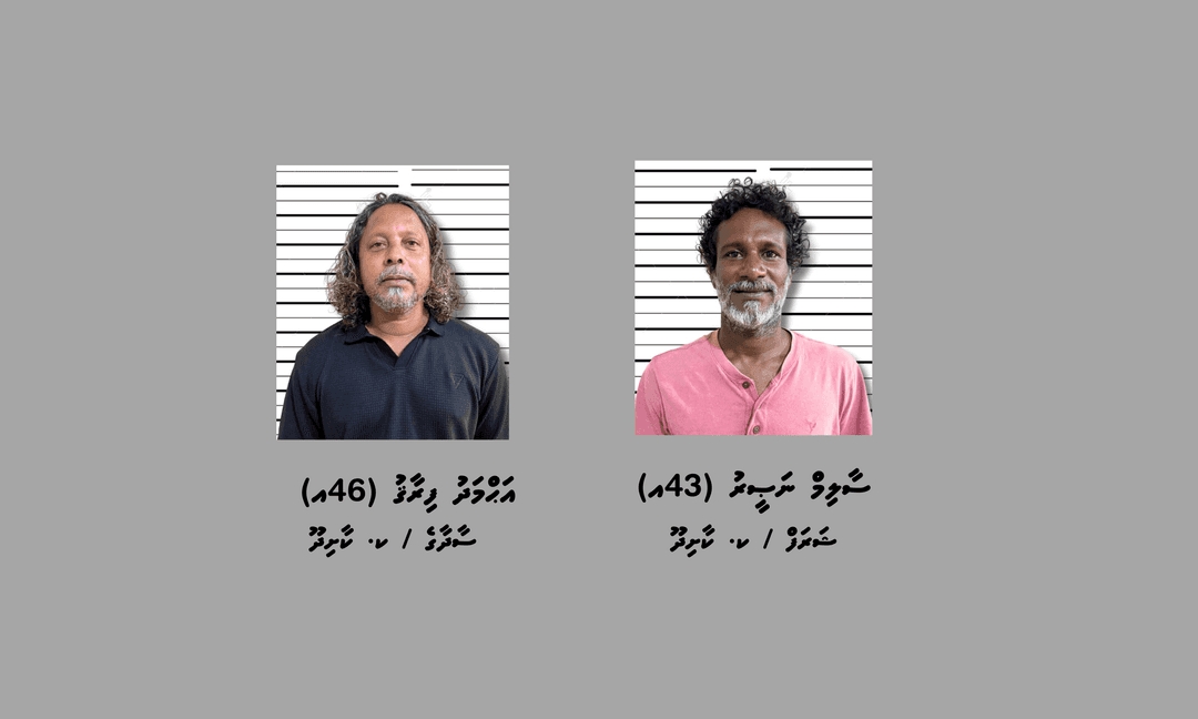 ގިނަ އަދަދެއްގެ މަސްތުވާތަކެއްޗާއެކު ދެމީހަކު ފުލުހުންގެ ހައްޔަރަށް