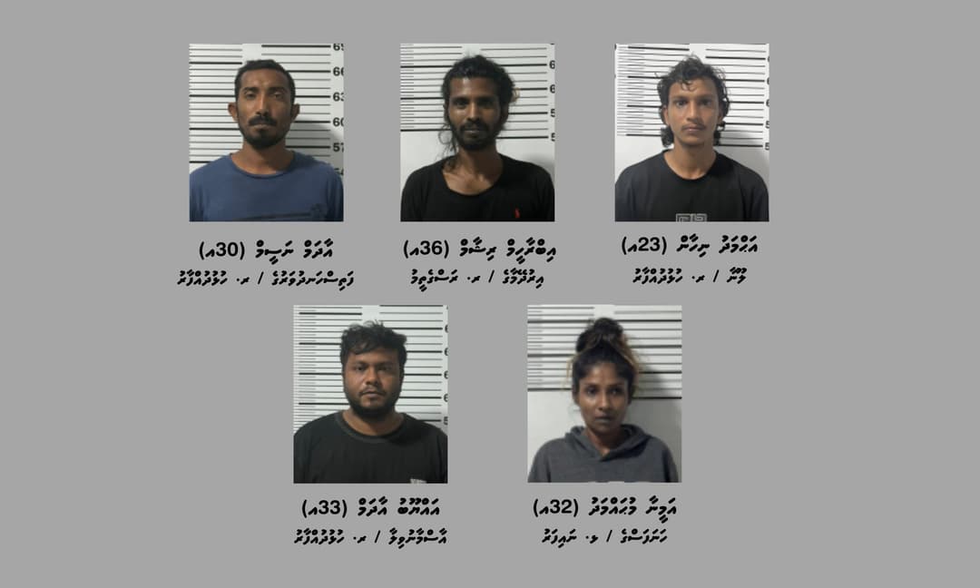 މަސްތުވަތަކެއްޗާއެކު ރަސްގެތީމުން ނުވަމީހަަކު ހައްޔަރުކޮށްފި