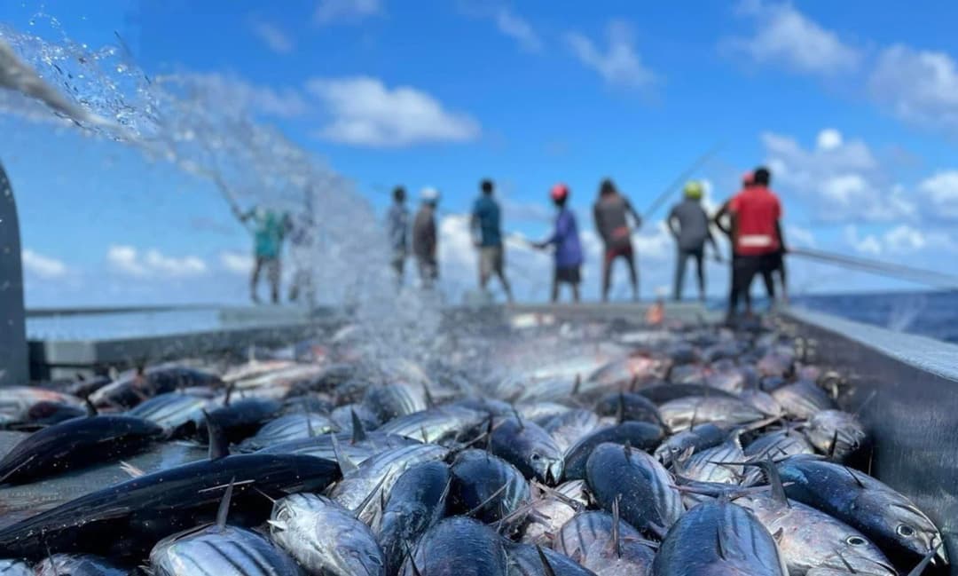 މަސްވެރިންނަށް މިލިއަނަކަށްވުރެ ގިނަރުފިޔާ ދޫކޮށްފި