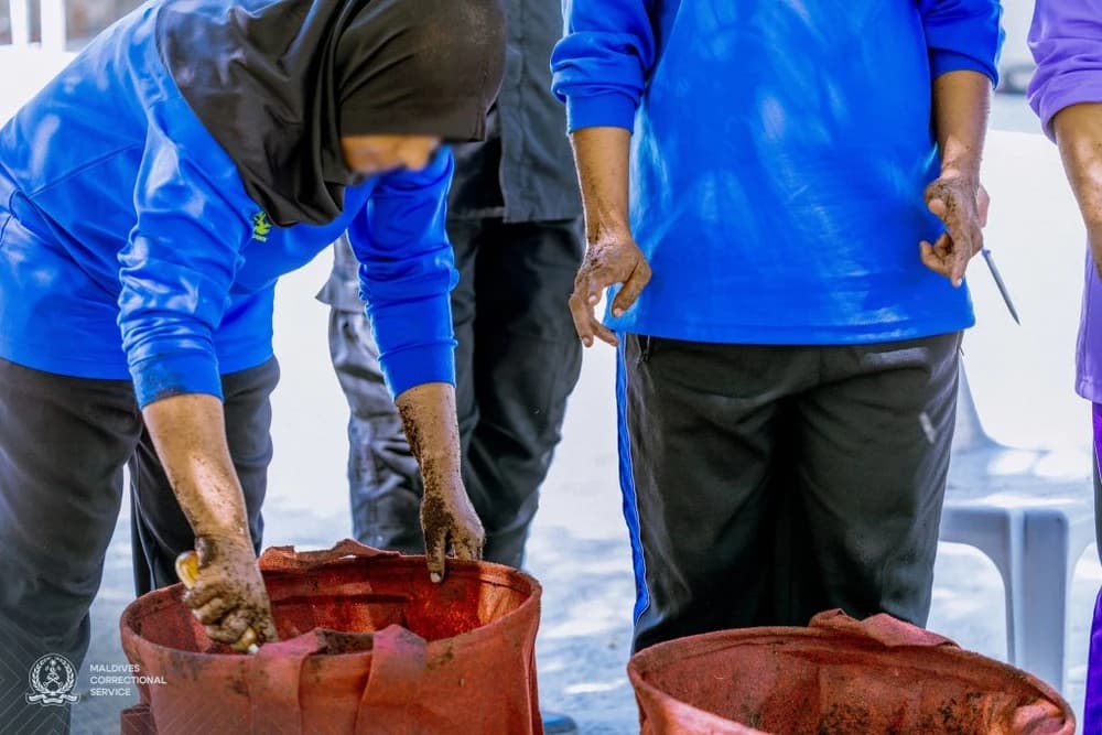 ކާދު އުފައްދާނެ ގޮތް ގައިދީންނަށާއި އޮފިސަރުންނަށް ދަސްކޮށްދީފި