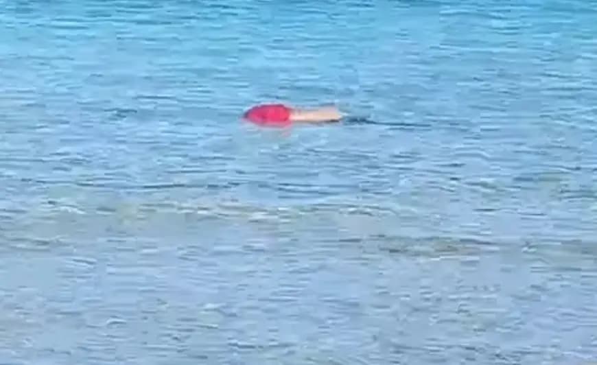 މަރުވެފައި އޮއްވައި ފެނުނު މީހާ ދެނެގަތުމަށް އާންމުންގެ އެހީއަށް އެދެފި
