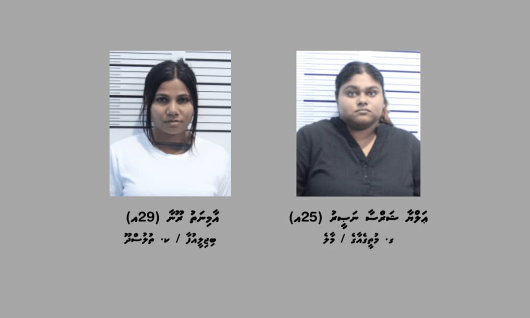 މަސްތުވާތަކެތި ރާއްޖެއަށް އެތެރެކުރި ދެމީހަކު ހައްޔަރު ކޮށްފި