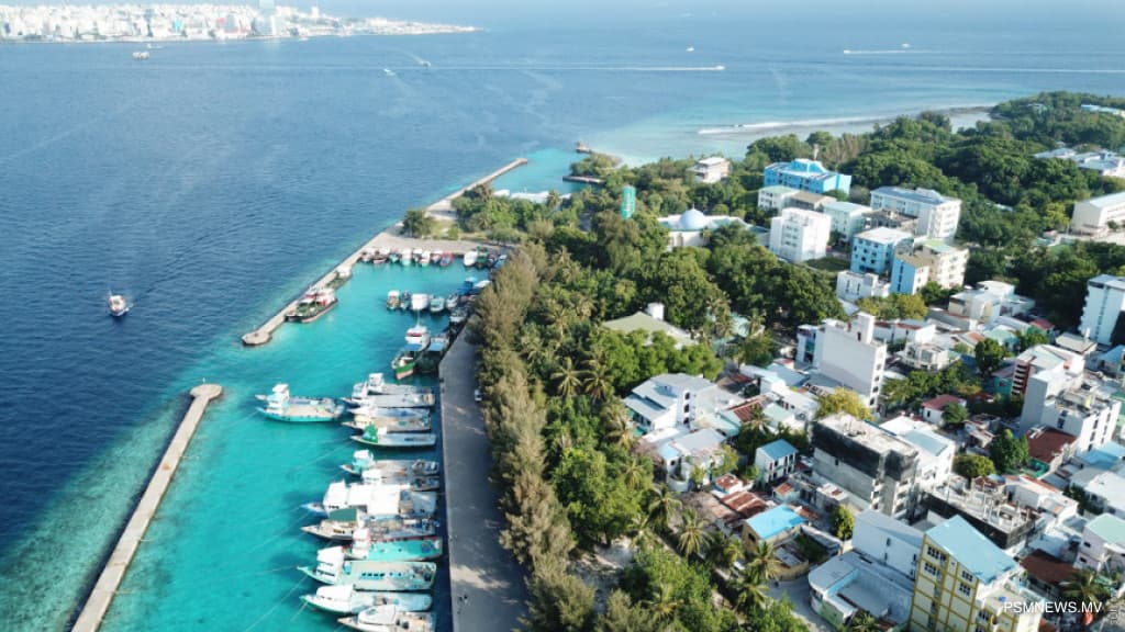 ފީނަން ފޭބި ނޭޕާނުގެ މީހަރު މަރުވެއްޖެ