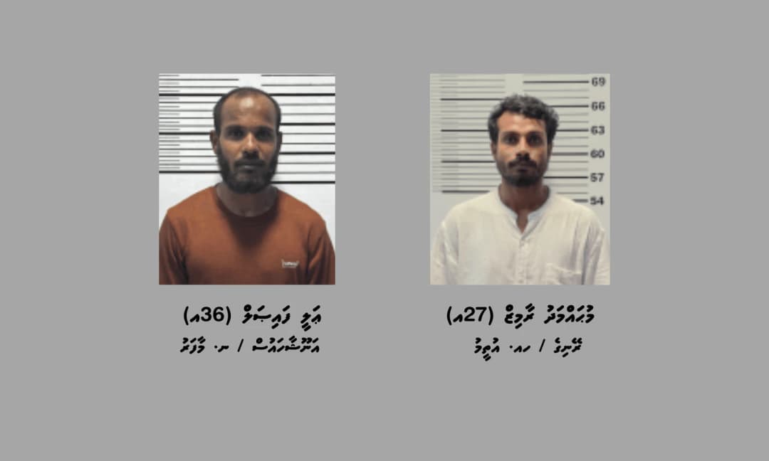 މަސްތުވާތަކެތީގެ މައްސަލައެއްގައި ދެމީހަކު އަތުލައިގެންފި
