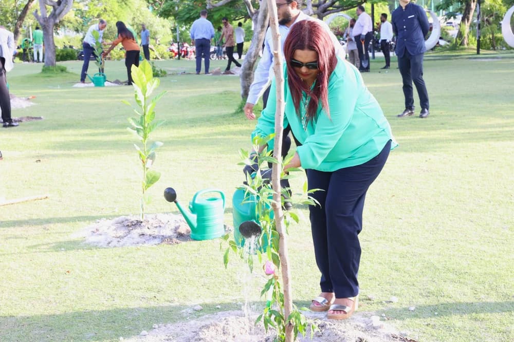 ޚާރިޖިއްޔާއިން ފަސްދޮޅަސް ގަސް އިންދައިފި
