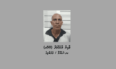 ވަގަށް ކޭބަލްތަކެއް ބުރިކުރަން އުޅެނިކޮށް ފުލުހުންގެ އަތްދުށުވެއްޖެ