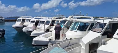 ޖުމްހޫރީ މައިދާން ހިމެނޭ ސަރަހައްދުގެ ފަޅުން އުޅަނދުފަހަރު ނެގުމަށް އަންގައިފި 
