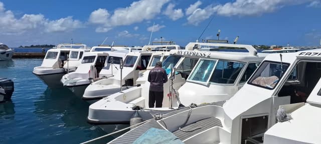 ޖުމްހޫރީ މައިދާން ހިމެނޭ ސަރަހައްދުގެ ފަޅުން އުޅަނދުފަހަރު ނެގުމަށް އަންގައިފި 