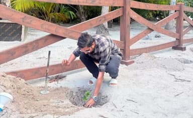 މަތިވެރީގައި އިންދި ގަސްތައް ބަލަހައްޓަން ރައްޔިތުންގެ އެހީބޭނުންވޭ: ކައުންސިލް