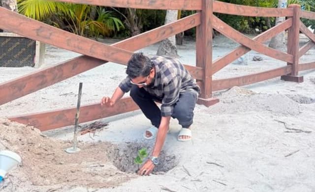 މަތިވެރީގައި އިންދި ގަސްތައް ބަލަހައްޓަން ރައްޔިތުންގެ އެހީބޭނުންވޭ: ކައުންސިލް