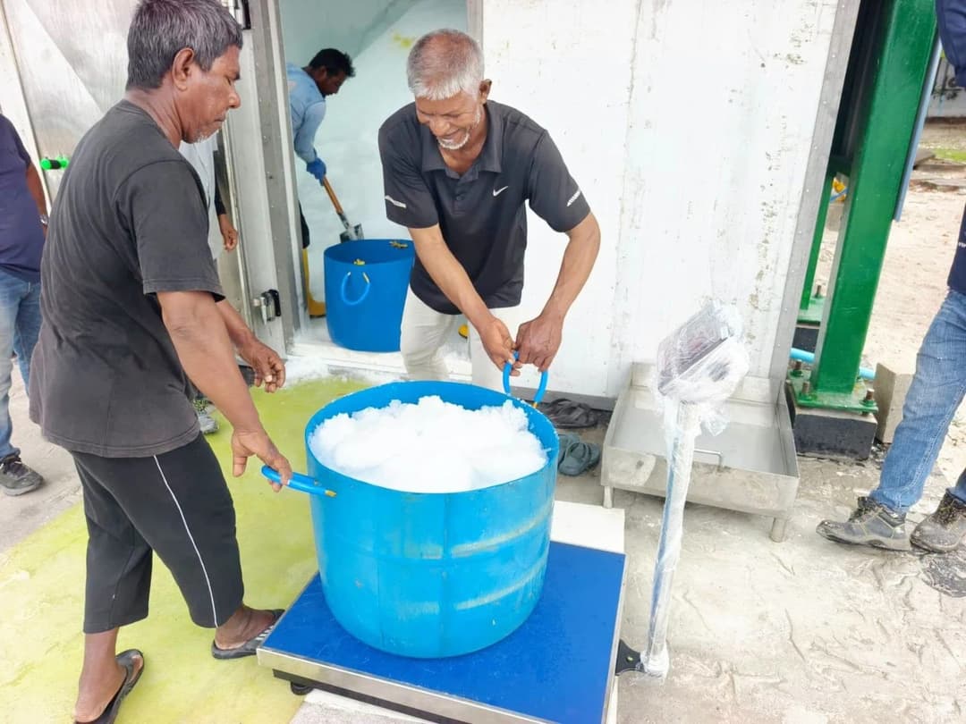 ކަނޑުއޮތްގިރީން މަސްވެރިންނަށް އައިސް ވިއްކަން ފަށައިފި