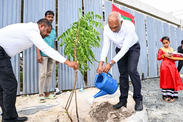 ރައީސްގެ ދެކަނބަލުން އުކުޅަހުގައި ގަސް އިންދަވައިފި 