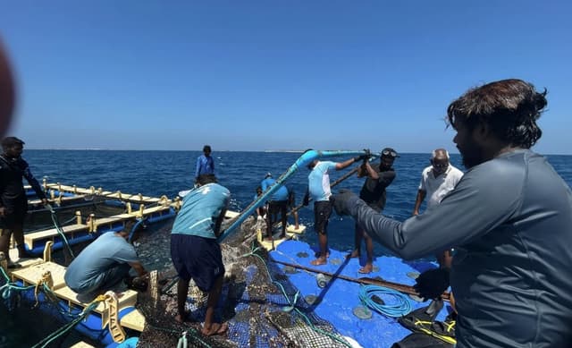 މެރިކަލްޗަރ ދާއިރާ ތަރައްގީ ކުރުމަށް އިތުރު ދިހަ ޒޯން ކަނޑައަޅައިފި