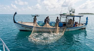 ދޯންޏަކުން ފީނަން ފޭބި ދުވާފަރު ޒުވާނަކު ނިޔާވެއްޖެ