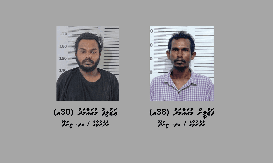 މަސްތުވާތަކެތި އެތެރެކޮށް ޓްރެފިކް ކުރާކަމުގެ ތުހުމަތުގައި ތިނަދޫ ސިޓީން ދެމީހަކު ހައްޔަރު ކޮށްފި