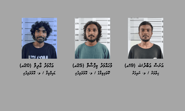 މަސްތުވާ ތަކެއްޗާއެކު ނައިފަރާއި އޮޅުވެލިފުށީން ތިން މީހަކު ހައްޔަރު ކޮށްފި