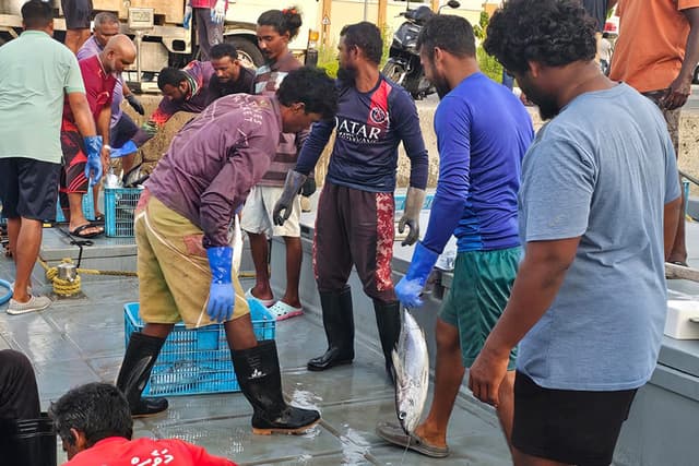 މަސްވެރިކަމުގެ ސިނާއަތް ރަނގަޅު ކުރުމަށް މިސަރުކާރުގެ އޮތީ ހެޔޮނިޔަތެއް: ޝިޔާމް