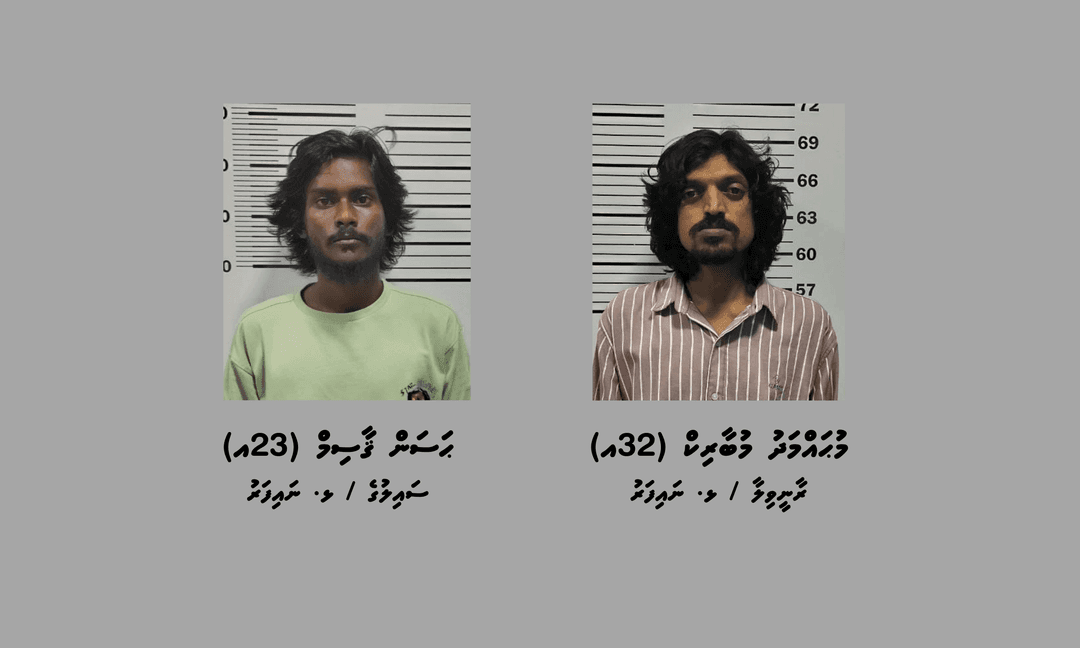 ސައުވީސް ދަޅު ބިޔަރާއެކު ދެ މީހަކު ހައްޔަރު ކޮށްފި