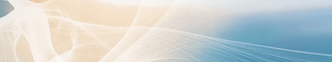 Top banner