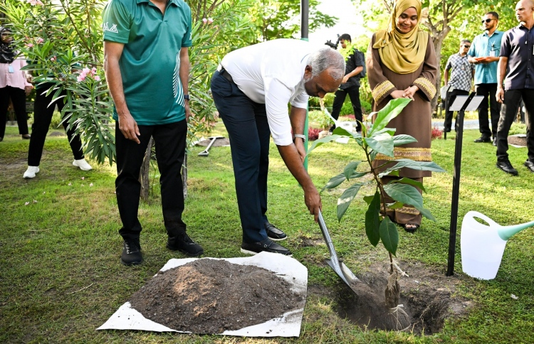 ރައީސް ޑރ. މުއިއްޒު ފަސްމިލިއަން ގަސް ޕްރޮގްރާމް ފެެށްޓެވި ދުވަަހުގެ ފޯޓޯއެއް.