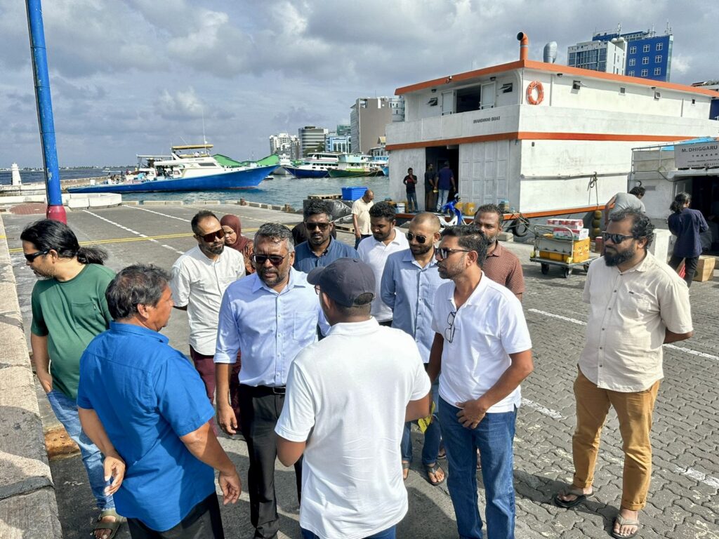 ޖަނަވަރީ 31 ގައި ބާއްވާ ސުލްހަވެރި ހިނގާލުން ޕްރޮމޯޓު ކުރުމުގެ ހަރަކާތުގައި ފައްޔާޒު އިސްމާއީލާއި އެމްޑީޕީގެ އިސް ބައެއް ބޭފުޅުން: ފޮޓޯ އެމްޑީޕީ