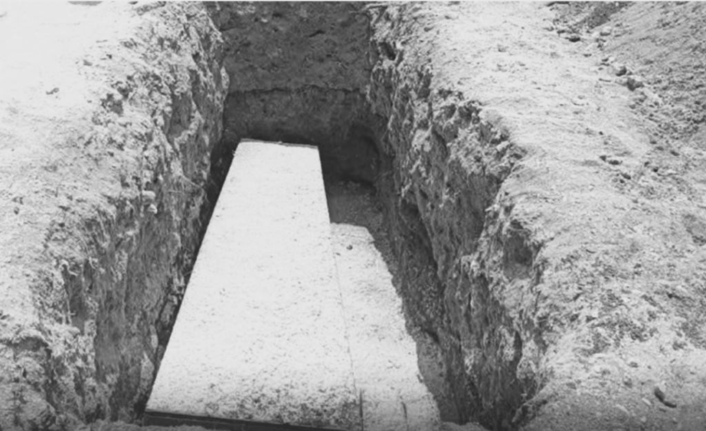 ޝިއުނާގެ ސަންދޯއް/ފޯޓޯ ޒީޓައިމްސް