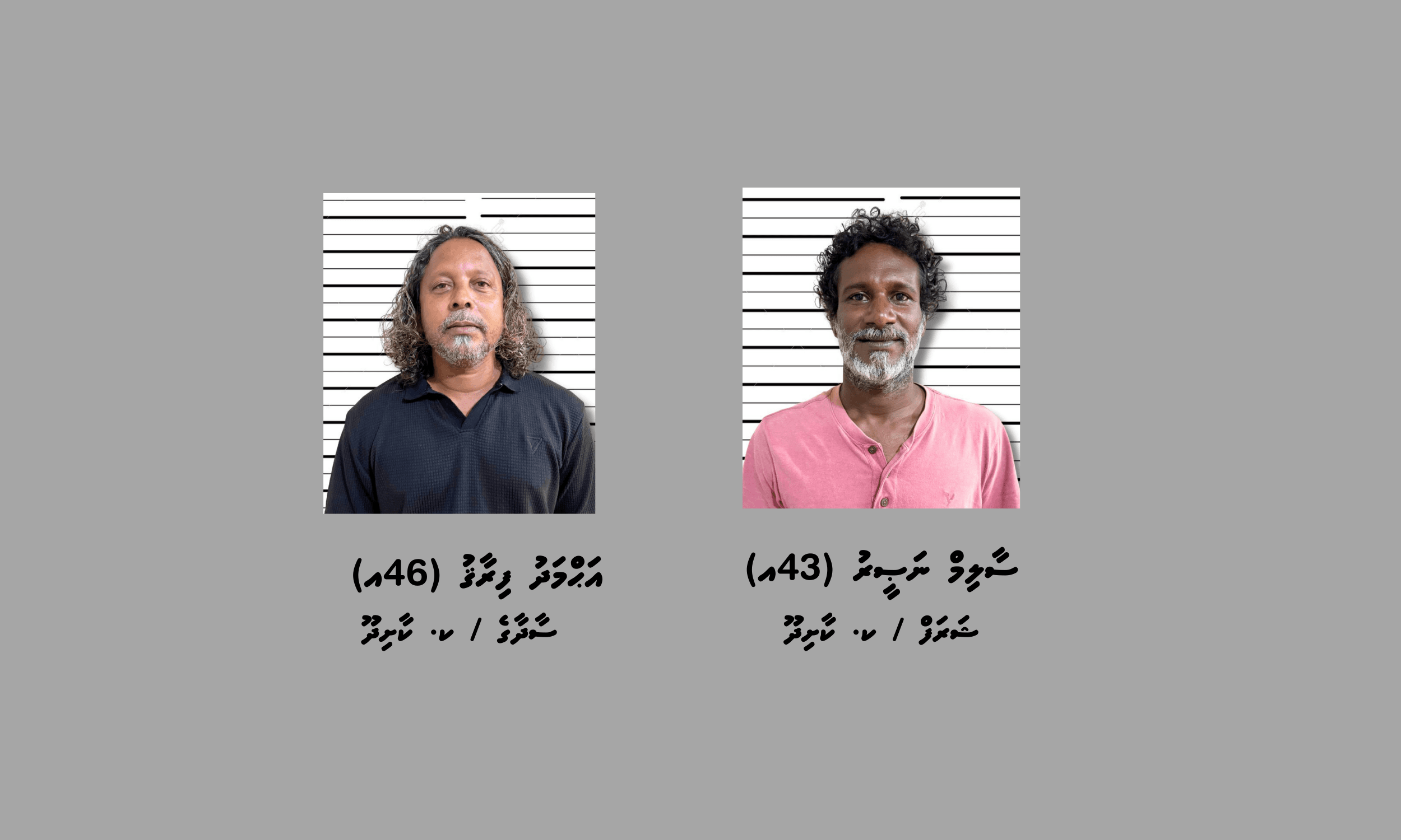 ގިނަ އަދަދެއްގެ މަސްތުވާތަކެއްޗާއެކު ދެމީހަކު ފުލުހުންގެ ހައްޔަރަށް