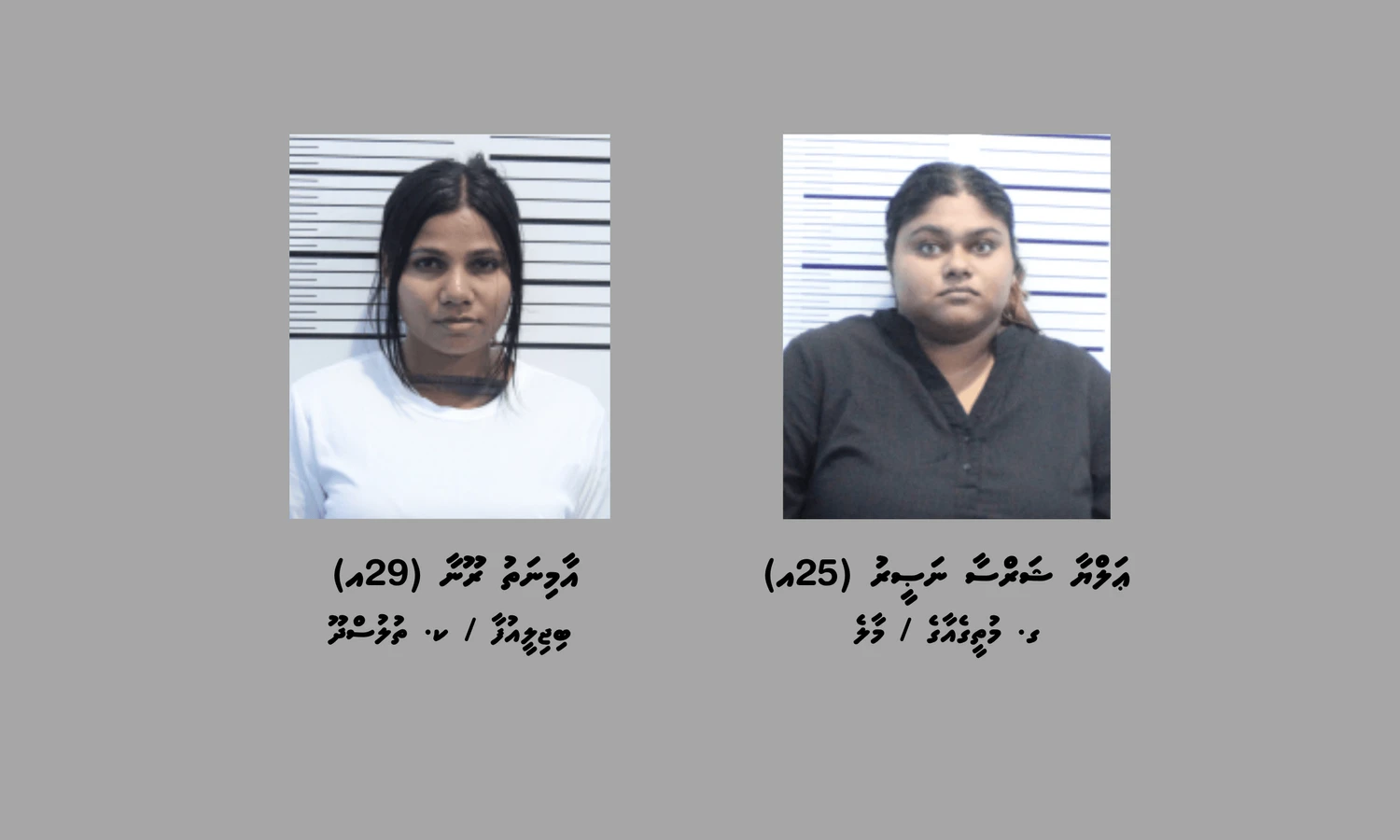 މަސްތުވާތަކެތި ރާއްޖެއަށް އެތެރެކުރި ދެމީހަކު ހައްޔަރު ކޮށްފި